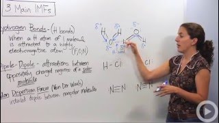 Intermolecular Forces [upl. by Notsirb628]