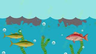 What is eutrophication [upl. by Avek]