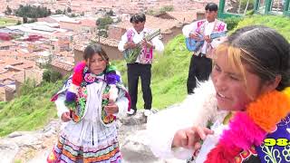 LOS ELEGANTES DE LA BANDURRIA CUSCO TEMA Paris Huallatita [upl. by Charla]