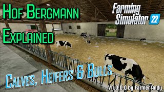 👨🏼‍🌾 FS22 Hof Bergmann Explained 👨🏼‍🌾 Cows 👨🏼‍🌾Calves Heffers and Bulls [upl. by Nospmas]