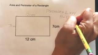 How to find the Area and Perimeter of a Rectangle [upl. by Cerveny576]