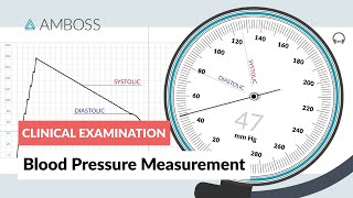 Blood Pressure Measurement  Clinical Examination [upl. by Radek862]