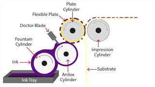 Flexographic Printing Explained [upl. by Mirabelle719]