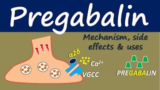 Pregabalin  Mechanism side effect and uses [upl. by Arakaj335]