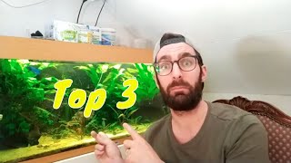 Top 3 GARNALEN in het GEZELSCHAPSAQUARIUM [upl. by Aronoh981]