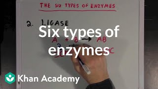 Six types of enzymes  Chemical Processes  MCAT  Khan Academy [upl. by Annodal]