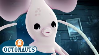 Octonauts  Long Armed Squid amp The Fiddler Crabs  Cartoons for Kids  Underwater Sea Education [upl. by Rianna]