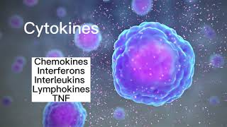 Cytokines [upl. by Ylrebmik]