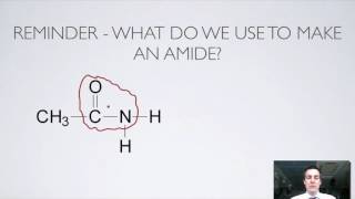 11 Ester and Amide Hydrolysis [upl. by Nitnelav60]