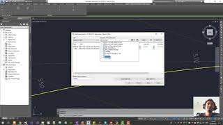 Civil3D Alignment Label Customization [upl. by Tavey]