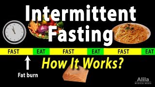 Different Types of Fasting Explained [upl. by Viviane661]