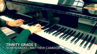 Trinity Grade 5 Scherzando  Camidge 2nd movt Sonata No1 in G maj syllabus 20212023 and 20182020 [upl. by Odnumyar]