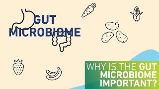 Why is the gut microbiome important [upl. by Icam441]