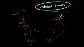 PseudoGout or Calcium PyroPhosphate Dihydrate CPPD Crystal Arthropathy [upl. by Talyah]