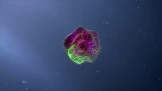 Flow Cytometry Animation [upl. by Mark]