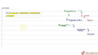 Which are the triploblastic acoelomate animals [upl. by Bartlett94]