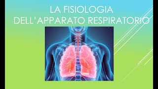 Fisiologia dellapparato respiratorio [upl. by Atsillak]