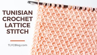 Tunisian Crochet Lattice Stitch  How To BEGINNER STITCH PATTERN  TUTORIAL [upl. by Halik498]