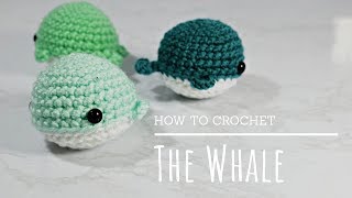 How To Crochet  Easy Beginners Amigurumi Whale Tutorial  NO SEW [upl. by Celtic]