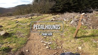 Pedalhounds DH trail at Cwmcarn [upl. by Sorensen]