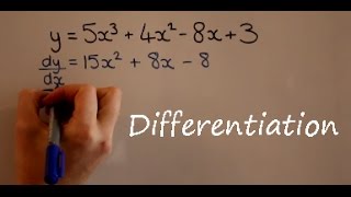 Differentiation [upl. by Rudd750]