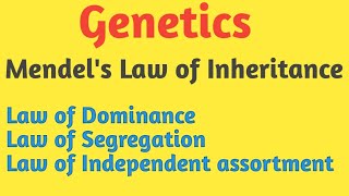 Genetics  Mendels Law of Inheritance  Pravin Bhosale [upl. by Shien501]