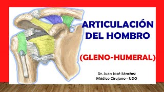 🥇 ARTICULACIÓN DEL HOMBRO Glenohumeral Fácil Rápida y Sencilla [upl. by Westley726]