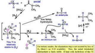 Mechanisms of Amide Reduction by LiAlH4 [upl. by Irek468]