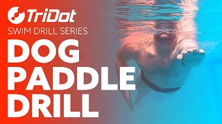 Dog Paddle Drill  TriDot Swim Drill Series [upl. by Nitsraek904]