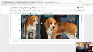 Intro  TensorFlow Object Detection API Tutorial p1 [upl. by Hallee]