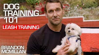 Dog Training 101 Leash Training  Brandon McMillan [upl. by Meil]