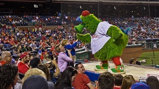 Who is the Phillie Phanatic [upl. by Eixel]