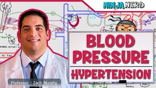 Cardiovascular  Blood Pressure Regulation  Hypertension [upl. by Arber]