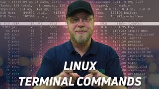 10 Linux Terminal Commands for Beginners [upl. by Leinahtam]