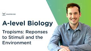 Plant Responses Tropisms  Alevel Biology  OCR AQA Edexcel [upl. by Erasmo]