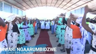 Zimbabwe Catholic Songs  Ordination Gokwe Diocese 2017 [upl. by Ibmat]