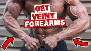 FOREARM WORKOUT FOR VEINS  DUMBBELLS OR BARBELL [upl. by Fernando]