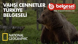 Vahşi Cennetler Türkiye Belgeseli  Türkçe Dublaj [upl. by Jill]