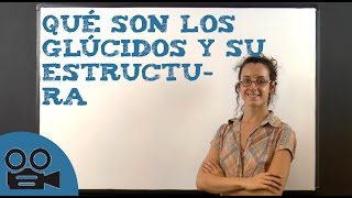 Qué son los glúcidos y su estructura [upl. by Enyrat]