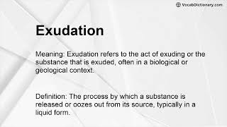 Exudation Meaning [upl. by Neelya]