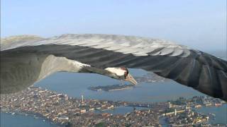 Flying Alongside Common Cranes Over Venice [upl. by Aneeg306]