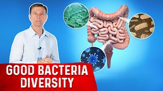 Increase Gut Bacteria Diversity Heres How [upl. by Megan828]