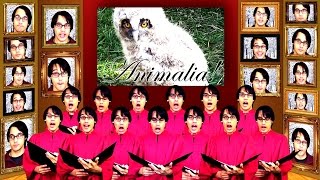 Animalia Chorus  A Capella Science [upl. by Ellehc]