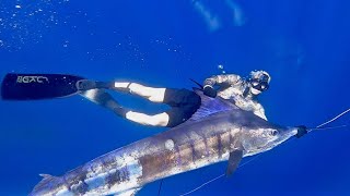 Spearfishing Striped Marlin New Zealand [upl. by Brindell]