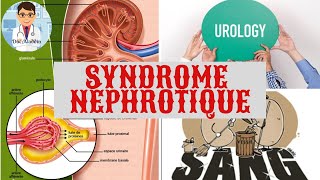 SYNDROME NEPHROTIQUE DÉFINITION  PHYSIOPATHOLOGIE  CAUSE  TRAITEMENT [upl. by Kallman]