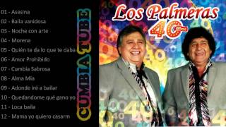 Los Palmeras 40 Años  Album completo enganchado [upl. by Allred48]