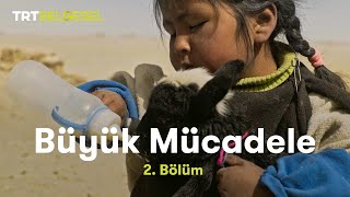 Büyük Mücadele  Bolivya  TRT Belgesel [upl. by Ruben669]