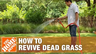 How to Grow Grass with Dead Grass Spots  The Home Depot [upl. by Enirehtakyram]