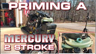 How to fix a Mercury 2 stroke Oil Injection Alarm [upl. by Rudyard]