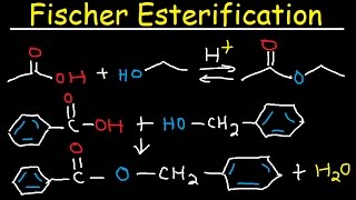 Fischer Esterification Reaction Mechanism  Carboxylic Acid Derivatives [upl. by Allicserp]